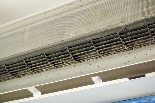 Best Commercial Air Duct Cleaning  in Homeland, GA